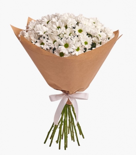 White Muse: Modern Papatya