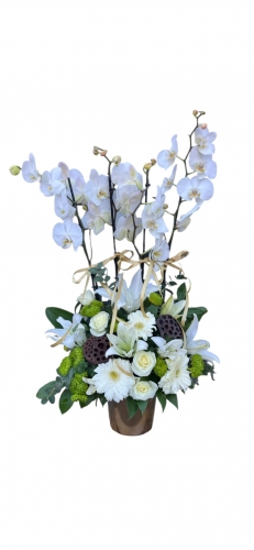 Saf Beyaz Aranjman (Orkide, Lilyum & Gül Kombinasyonu)