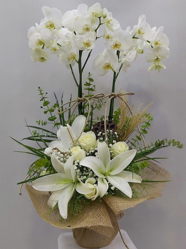 Saf Kristal Premium Beyaz Karma Tasarım