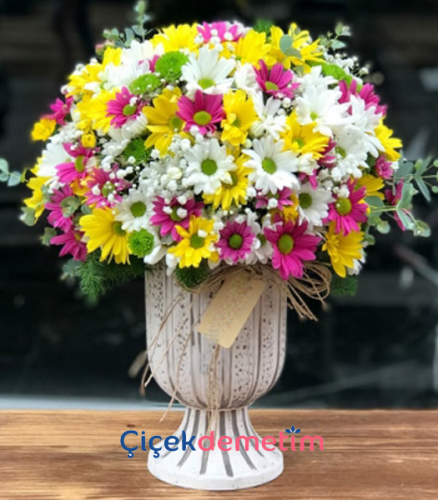Renkli Papatya Aranjmanı – Neşe ve Enerjinin Zarif Hali